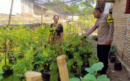 Kunjungi Warga, Bhabinkamtibmas Polres Madiun Perkuat Ketahanan Pangan dari Desa